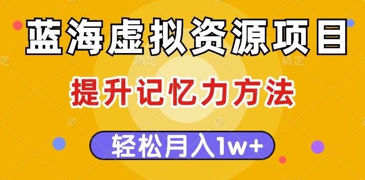蓝海虚拟资源项目，提升记忆力方法，多种变现方式，轻松月入1w+【揭秘】-网创星球