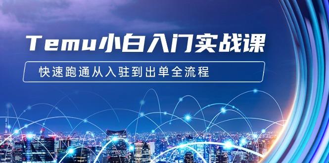 (9295期)Temu小白入门实战课：跨境拼多多电商培训 快速跑通从入驻到出单全流程-12节-网创星球