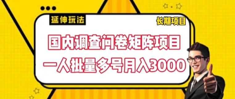 国内调查问卷矩阵项目，一人批量多号月入3000【揭秘】-网创星球