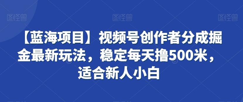 【蓝海项目】视频号创作者分成掘金最新玩法，稳定每天撸500米，适合新人小白【揭秘】-网创星球