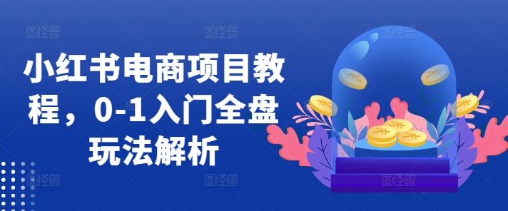 小红书电商项目教程，0-1入门全盘玩法解析-网创星球