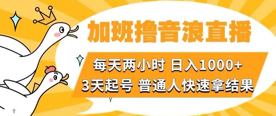 加班撸音浪直播，每天两小时，日入1000+，直播话术才3句，3天起号，普通人快速拿结果【揭秘】-网创星球