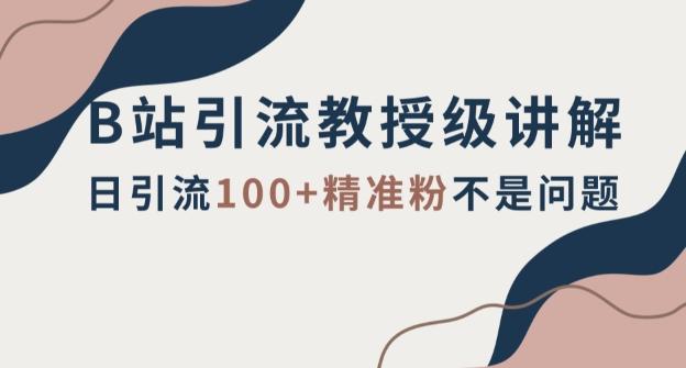 B站引流教授级讲解，细节满满，日引流100+精准粉不是问题【揭秘】-网创星球