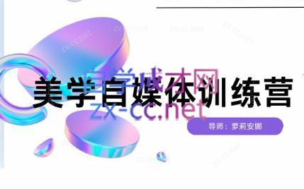 安娜·美学自媒体IP系统课-网创星球