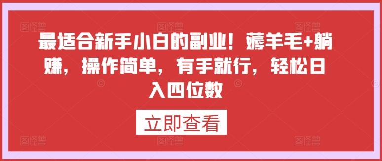 最适合新手小白的副业！薅羊毛+躺赚，操作简单，有手就行，轻松日入四位数【揭秘】-网创星球