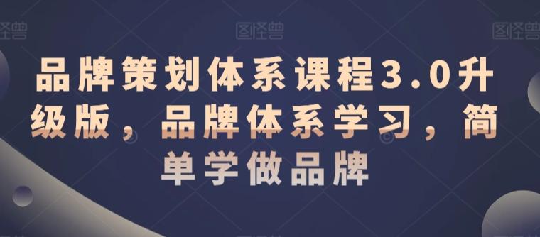 品牌策划体系课程3.0升级版，品牌体系学习，简单学做品牌-网创星球