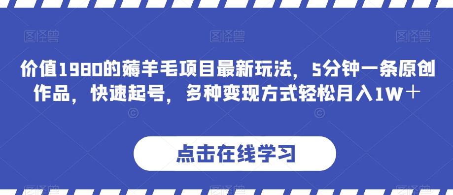 价值1980的薅羊毛项目最新玩法，5分钟一条原创作品，快速起号，多种变现方式轻松月入1W＋【揭秘】-网创星球