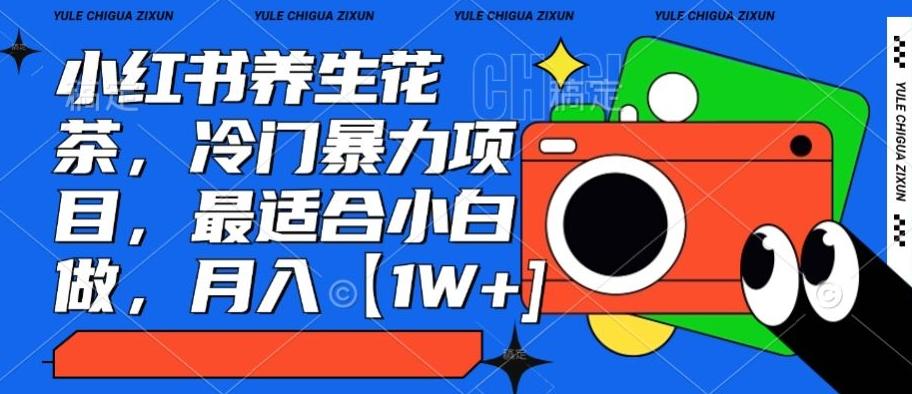 小红书养生花茶，冷门暴力项目，最适合小白做，月入【1W+】-网创星球