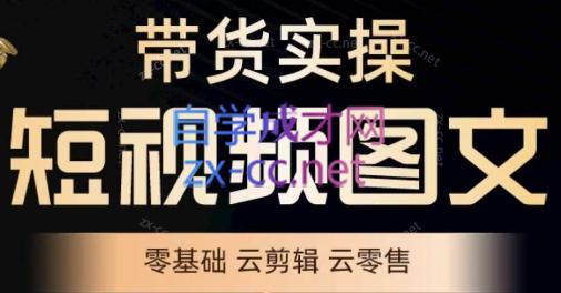 鑫哥·2024零基础短视频带货实操营-网创星球