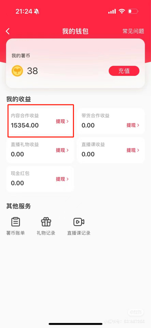 热门评论引爆小红书流量，作品制作简单，广告接到手软，月入过万不是梦-网创星球