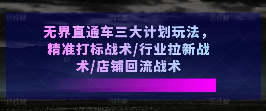 无界直通车三大计划玩法，精准打标战术/行业拉新战术/店铺回流战术-网创星球