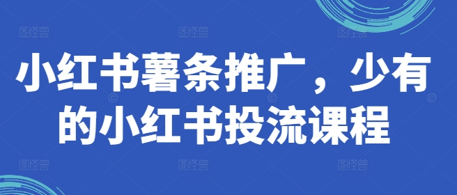 小红书薯条推广，少有的小红书投流课程-网创星球
