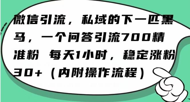 怎么搞精准创业粉？微信新赛道，每天一小时，利用Ai一个问答日引100精准粉-网创星球