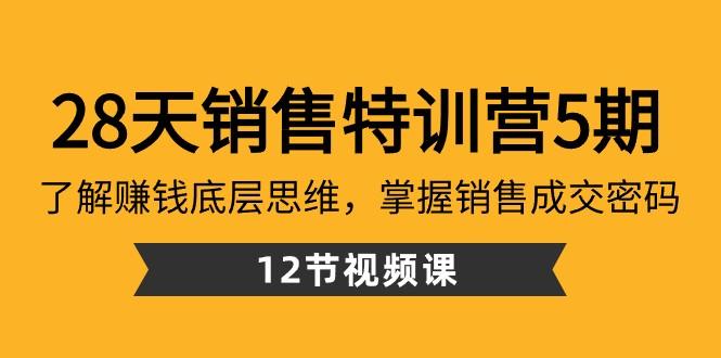 28天销售特训营5期：了解赚钱底层思维，掌握销售成交密码（12节课）-网创星球
