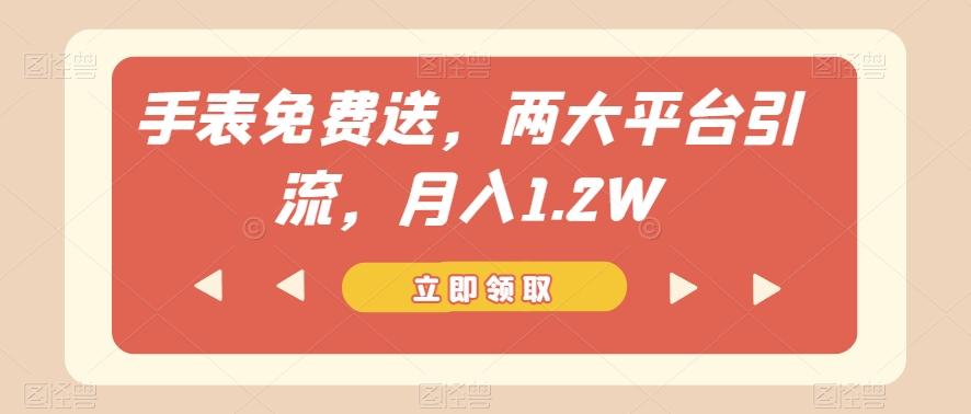 手表免费送，两大平台引流，月入1.2W【揭秘】-网创星球