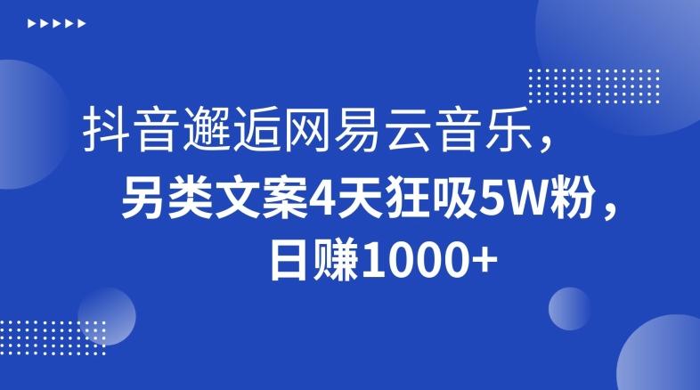 抖音邂逅网易云音乐，另类文案4天狂吸5W粉，日赚1000+【揭秘】-网创星球
