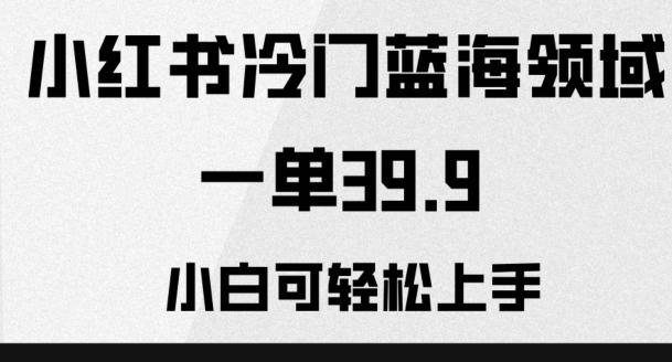 小红书冷门蓝海领域，一单39.9，小白可轻松上手-网创星球