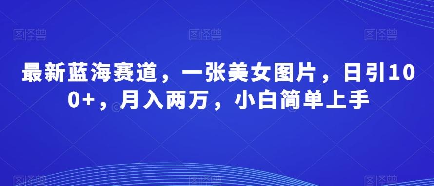 最新蓝海赛道，一张美女图片，日引100+，月入两万，小白简单上手-网创星球
