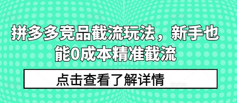 拼多多竞品截流玩法，新手也能0成本精准截流-网创星球