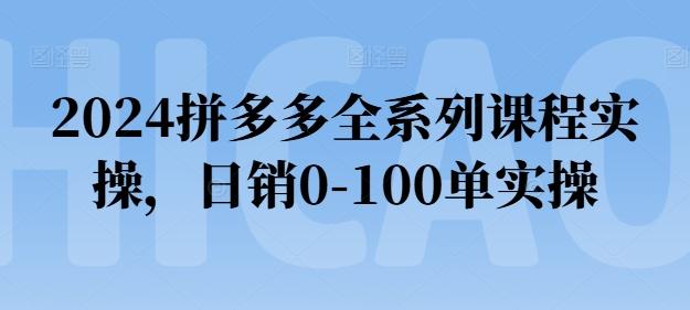 2024拼多多全系列课程实操，日销0-100单实操【必看】-网创星球