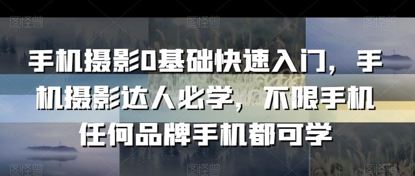 手机摄影0基础快速入门，手机摄影达人必学，不限手机任何品牌手机都可学-网创星球