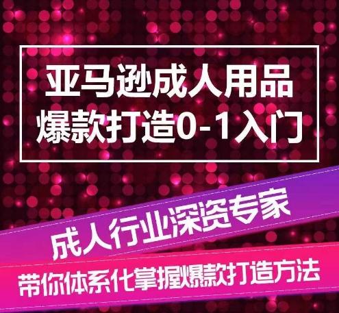 亚马逊成人用品爆款打造0-1入门，系统化讲解亚马逊成人用品爆款打造的流程-网创星球