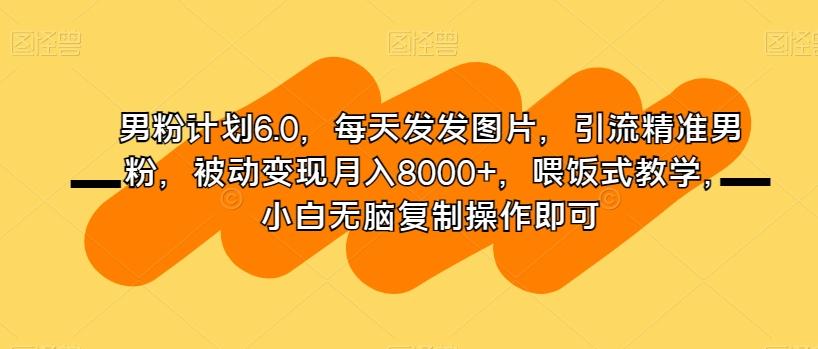 男粉计划6.0，每天发发图片，引流精准男粉，被动变现月入8000+，喂饭式教学，小白无脑复制操作即可-网创星球