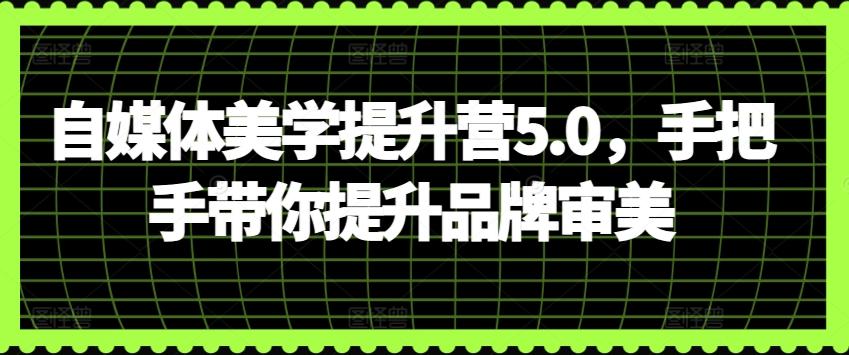 自媒体美学提升营5.0，手把手带你提升品牌审美-网创星球