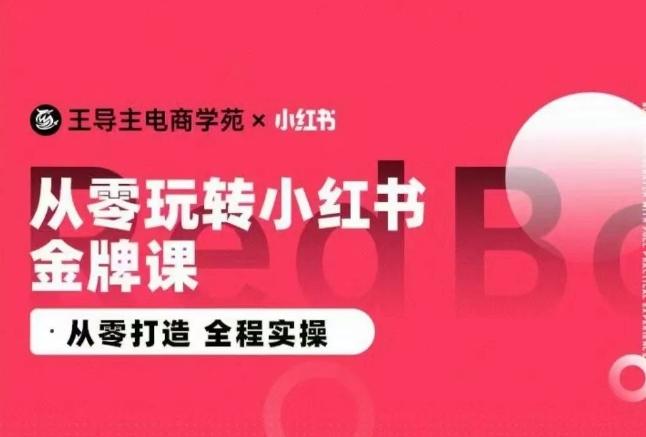 王导主·小红书电商运营实操课，​从零打造  全程实操-网创星球