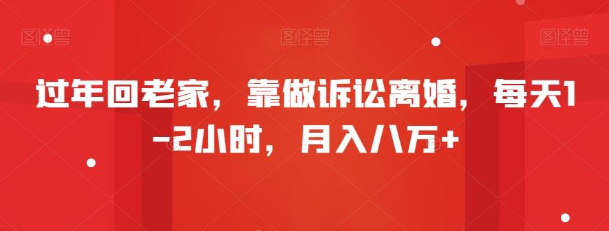 过年回老家，靠做诉讼离婚，每天1-2小时，月入八万+-网创星球