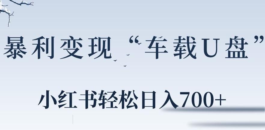 小红书“车载U盘”暴利引流，日入700+-网创星球