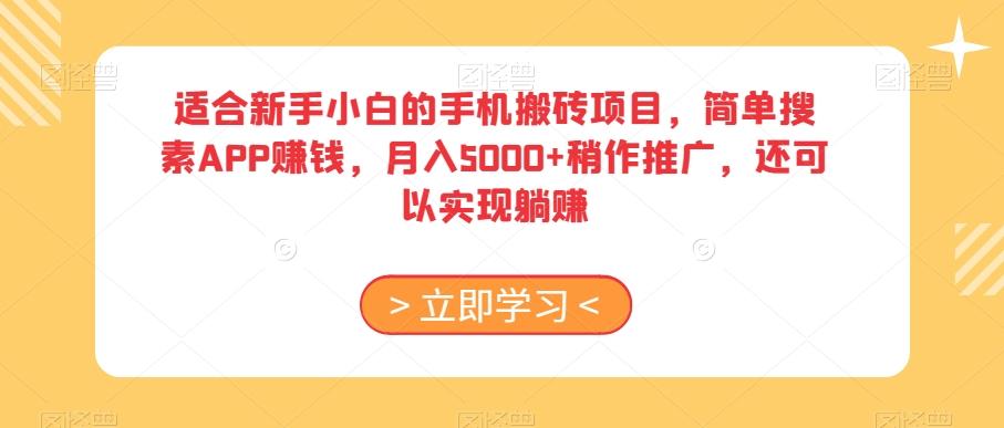 适合新手小白的手机搬砖项目，简单搜素APP赚钱，月入5000+稍作推广，还可以实现躺赚【揭秘】-网创星球