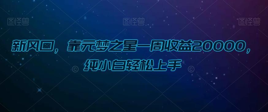 新风口，靠元梦之星一周收益20000，纯小白轻松上手-网创星球