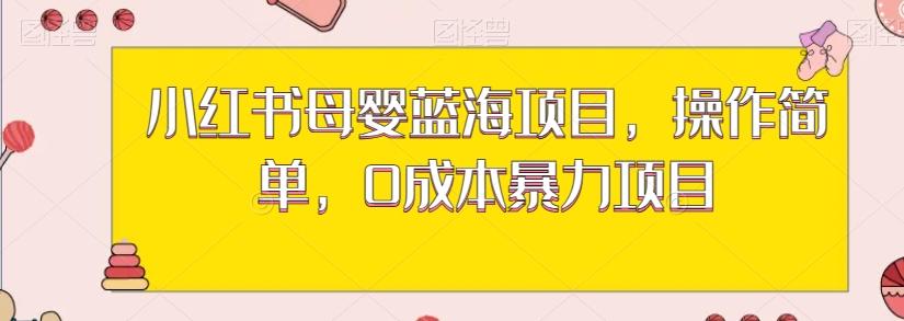 小红书母婴蓝海项目，操作简单，0成本暴力项目-网创星球