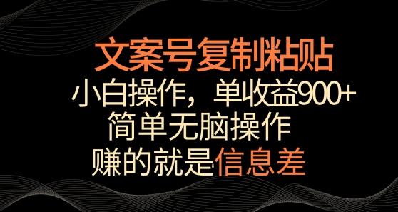 文案号掘金，简单复制粘贴，小白操作，单作品收益900+【揭秘】-网创星球