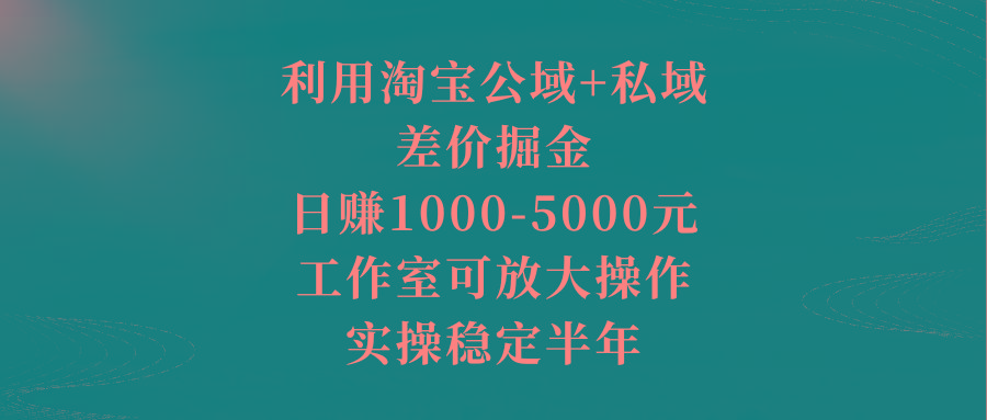 利用淘宝公域+私域差价掘金，日赚1000-5000元，工作室可放大操作，实操…-网创星球