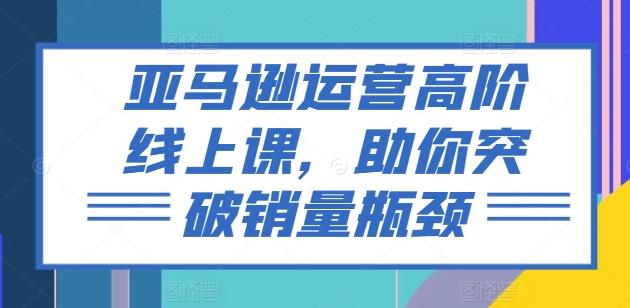 亚马逊运营高阶线上课，助你突破销量瓶颈-网创星球