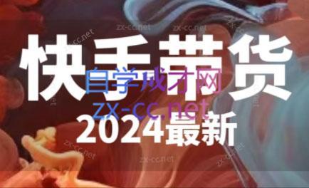 快手带货(2024最新)-网创星球