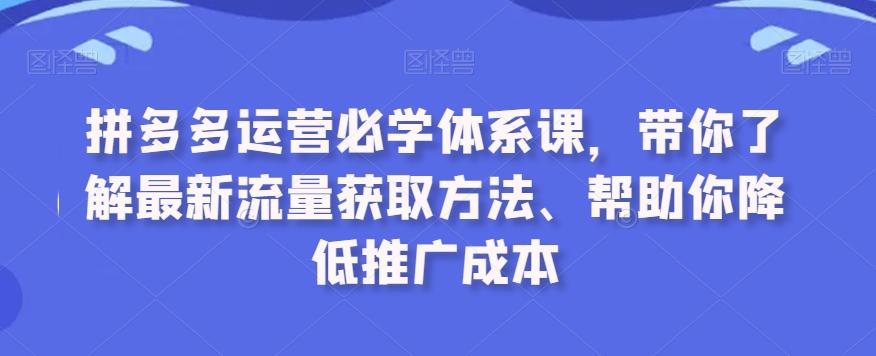 拼多多运营必学体系课，带你了解最新流量获取方法、帮助你降低推广成本-网创星球