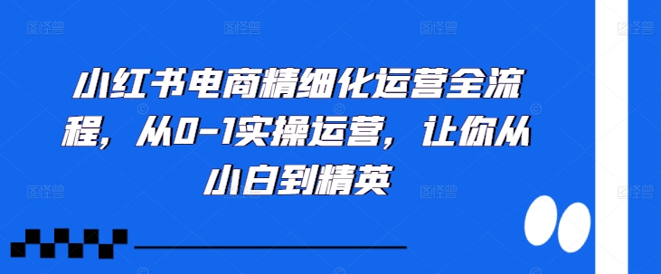 小红书电商精细化运营全流程，从0-1实操运营，让你从小白到精英-网创星球