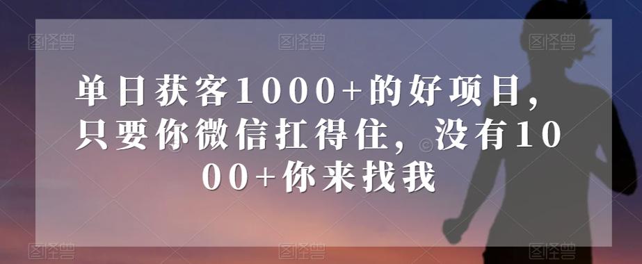 单日获客1000+的好项目，只要你微信扛得住，没有1000+你来找我【揭秘】-网创星球