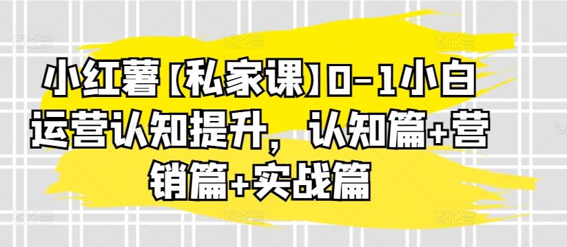 小红薯【私家课】0-1小白运营认知提升，认知篇+营销篇+实战篇-网创星球