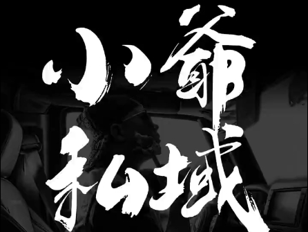 小爷·私域项目操盘手-网创星球