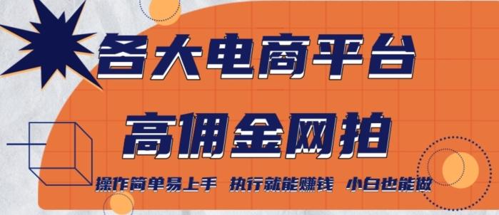 各大电商平台高佣金网拍，操作简单易上手，执行就能赚钱，小白也能做-网创星球