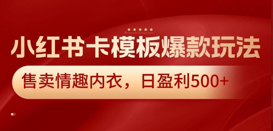 小红书卡模板爆款玩法，售卖情趣内衣，日盈利500+【揭秘】-网创星球