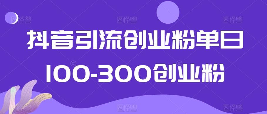 抖音引流创业粉单日100-300创业粉【揭秘】-网创星球