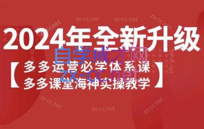 海神老师·拼多多运营必学体系课-网创星球