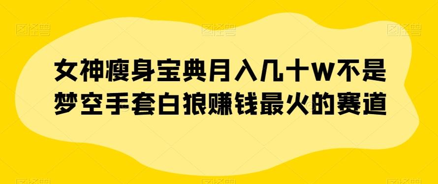 女神瘦身宝典月入几十W不是梦空手套白狼赚钱最火的赛道【揭秘】-网创星球