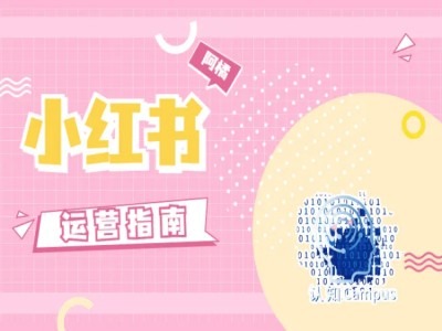 小红书运营指南，没有套路，全是经验-网创星球