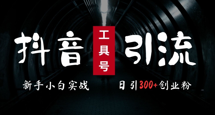 2024最新抖音工具号引流玩法，高效日引300+创业粉，当天变现5k，小白也可成为实战高手-网创星球